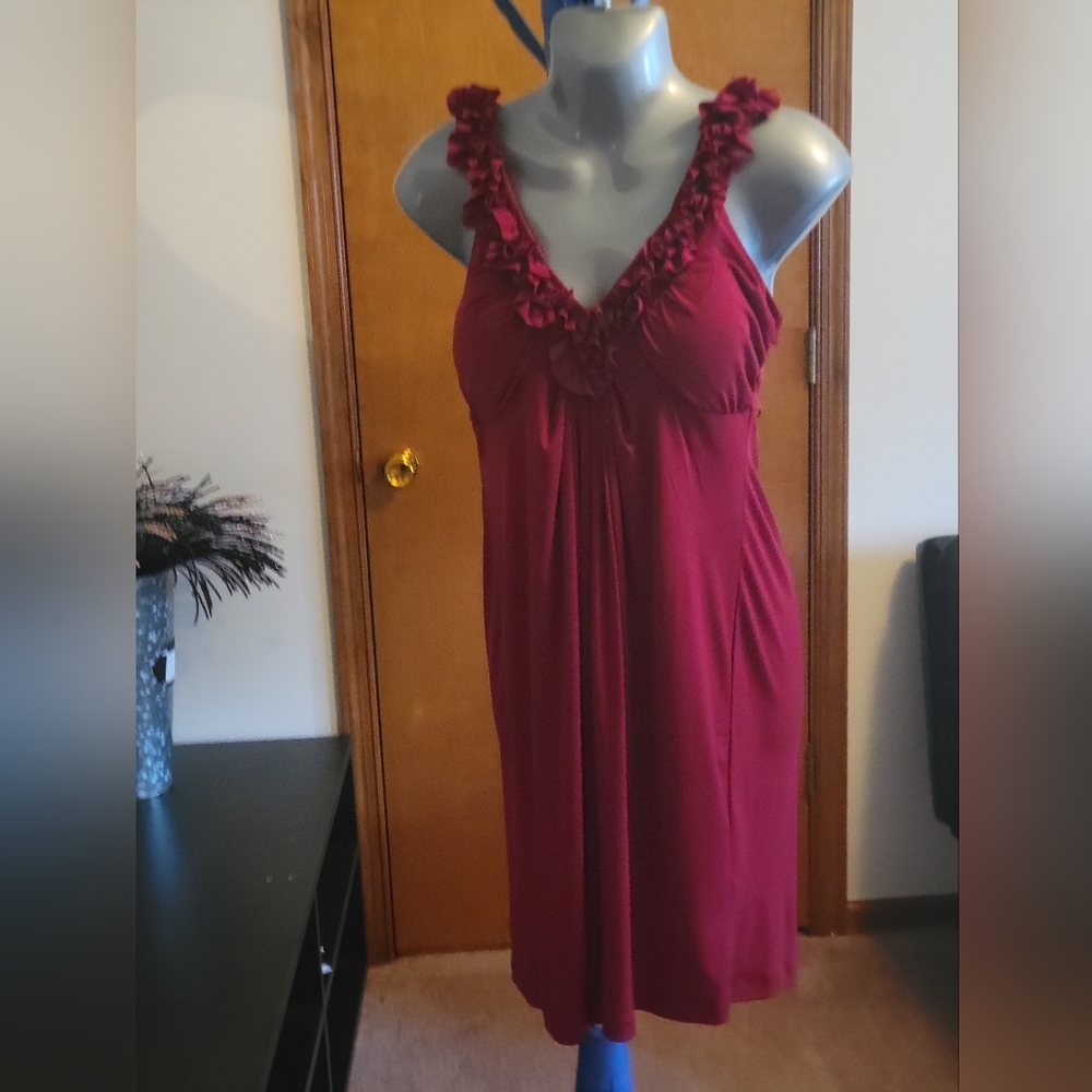 Little Red Dress